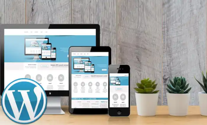 طراحی سایت حرفه ای